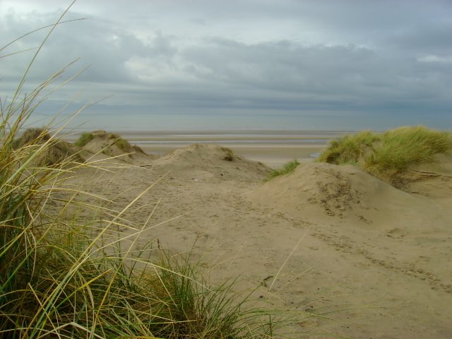 Formby beach dunes by stewy