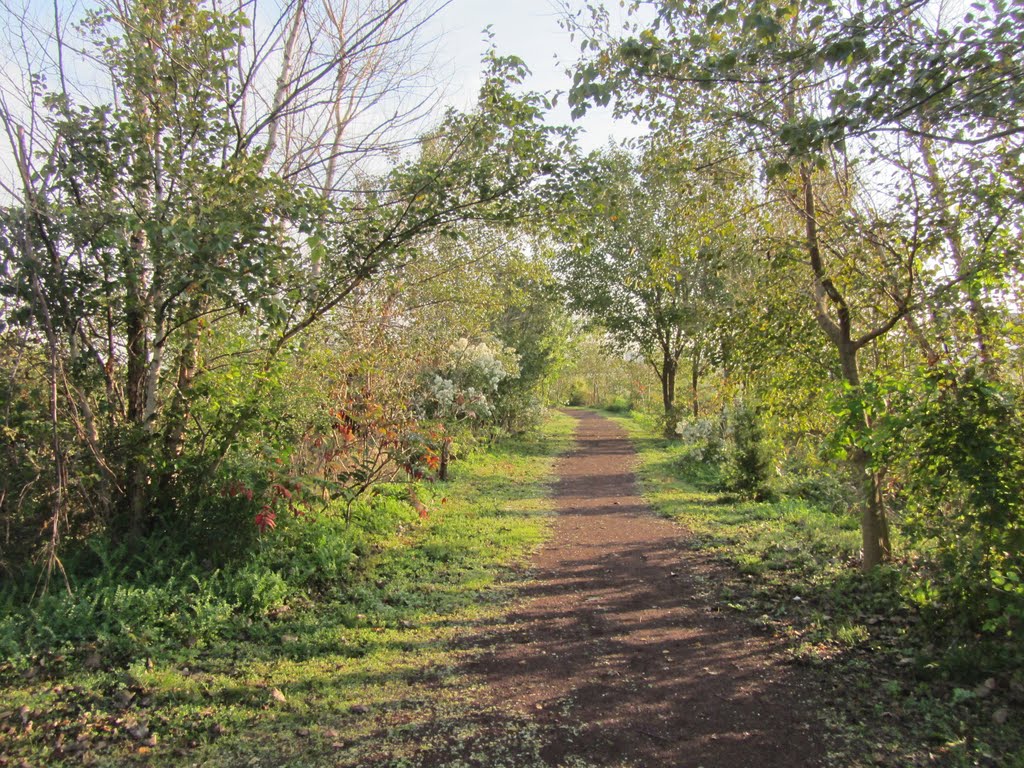 Mill Creek Marsh Trail by Adam Elmquist