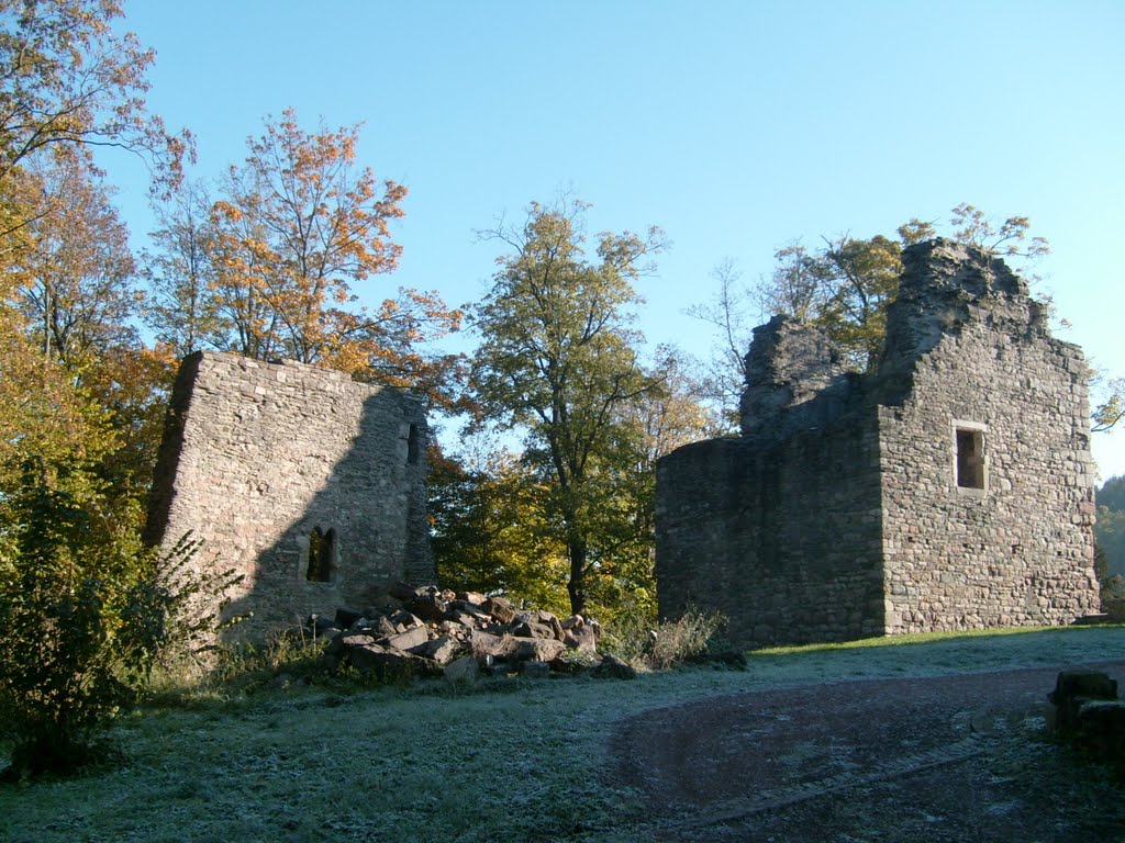 Burgruine Winterstein von Süden by Andreas Schumann