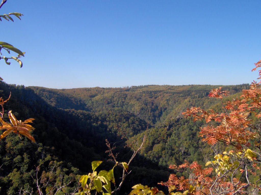 Blick in das Bodetal von der Prinzensicht by Sachsenuwe