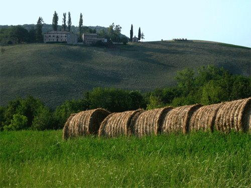 Montecuccoli by fabrizio annovi