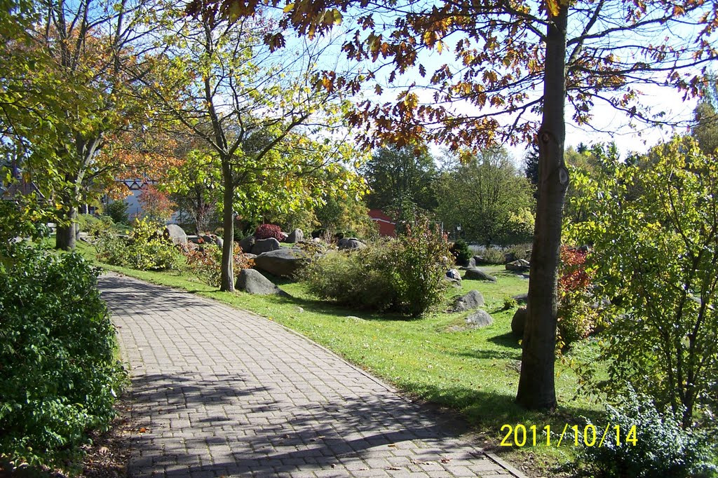 Schierke/Harz - Kurpark by Ernst-Otto Harder