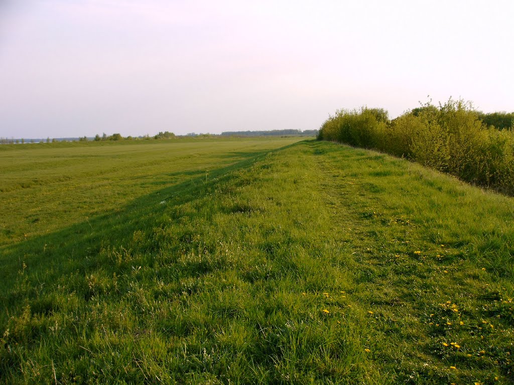 Dammweg Elsterflutbett nahe Cospudener See by Hansi Müller