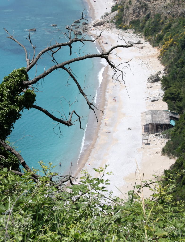 Plage près de Budva by Méry 3°人~°。