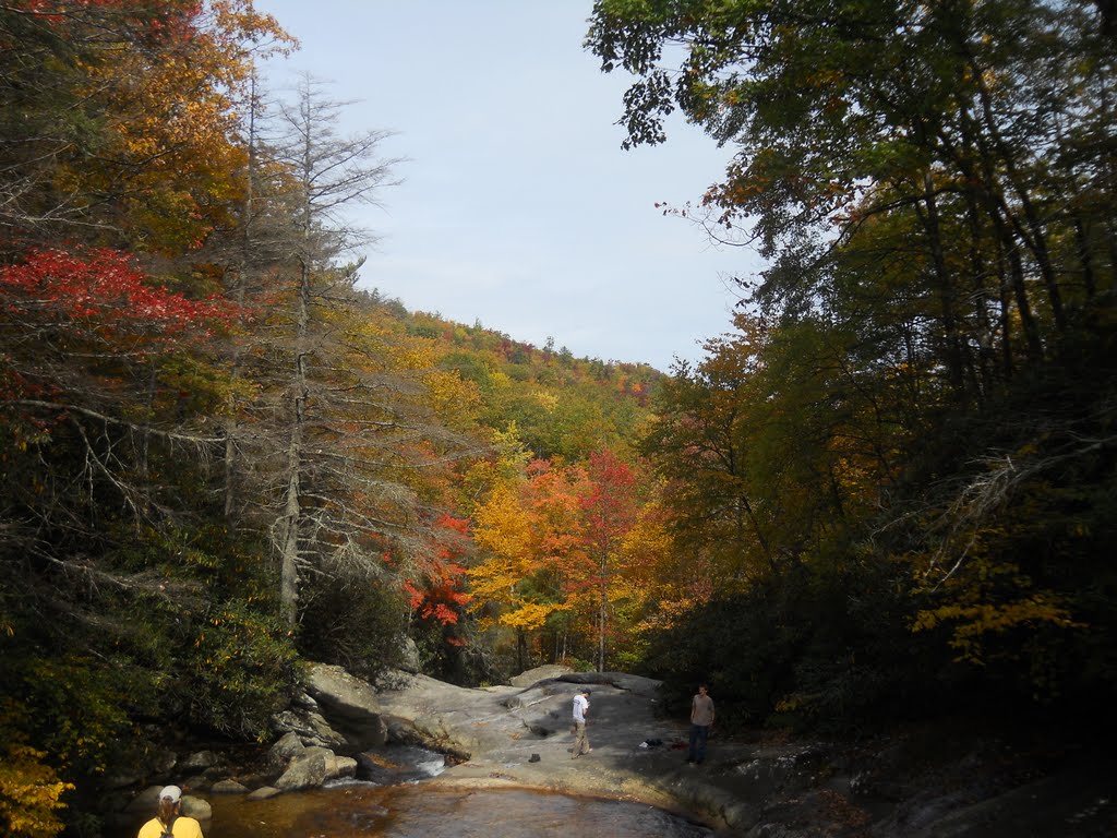 View from Lower Falls Creek, Jonas Ridge, NC by limeygirl