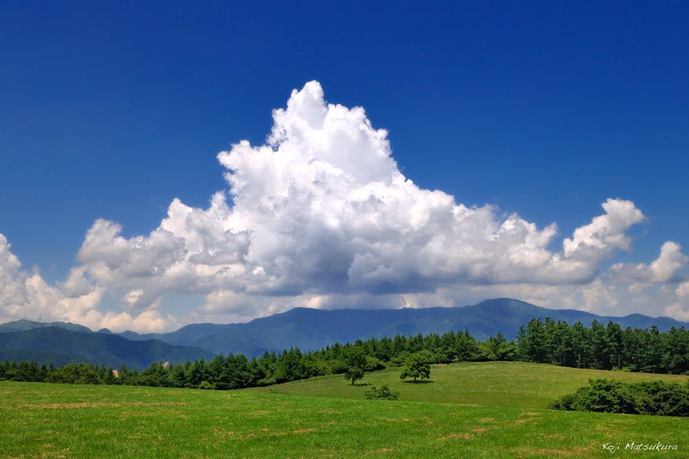 長門牧場（Nagato pasture ） by 松倉広治  Koji Matsukura