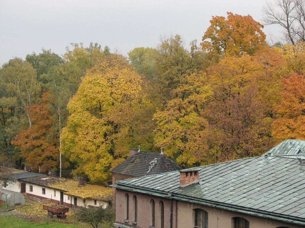 Autumn of the Franciscans in Panewniki by Abraham ofm