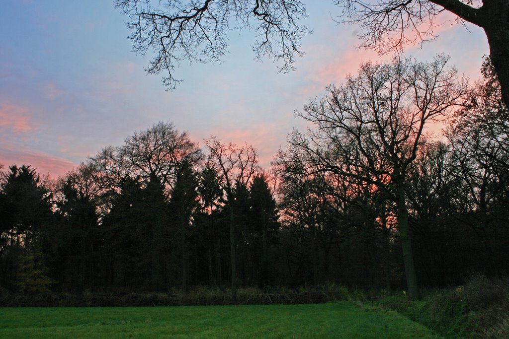 Het Goor, Helmond by Wim Janssen