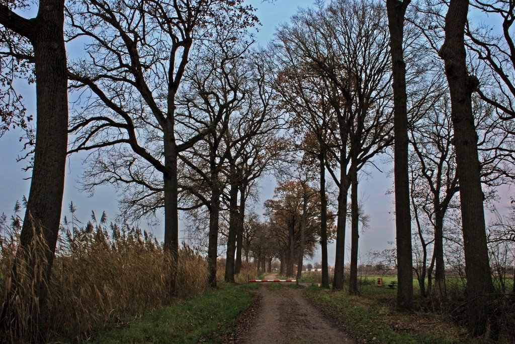 Het Goor, Helmond by Wim Janssen