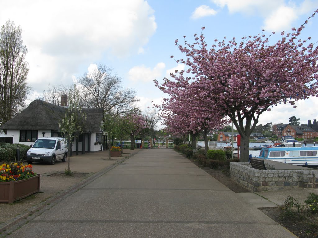 Oulton Broad Boulevard by Chris Ames