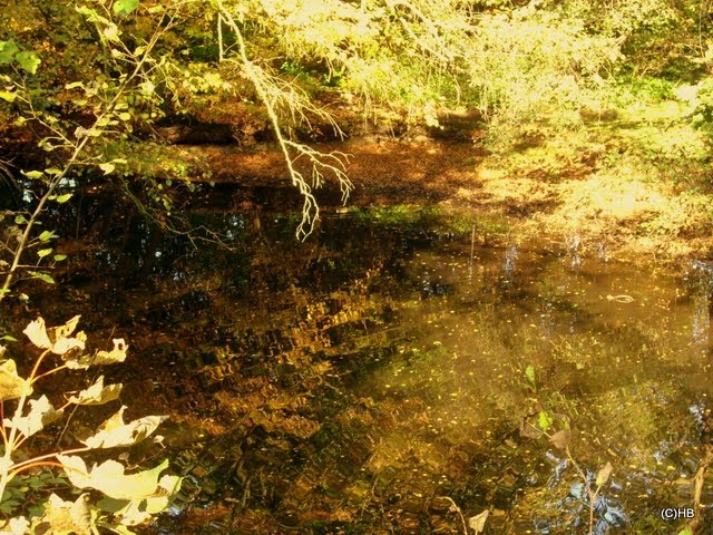 Bremerhaven, Thieles Garten, http://www.thieles-garten.de/ by Heinz.Bock