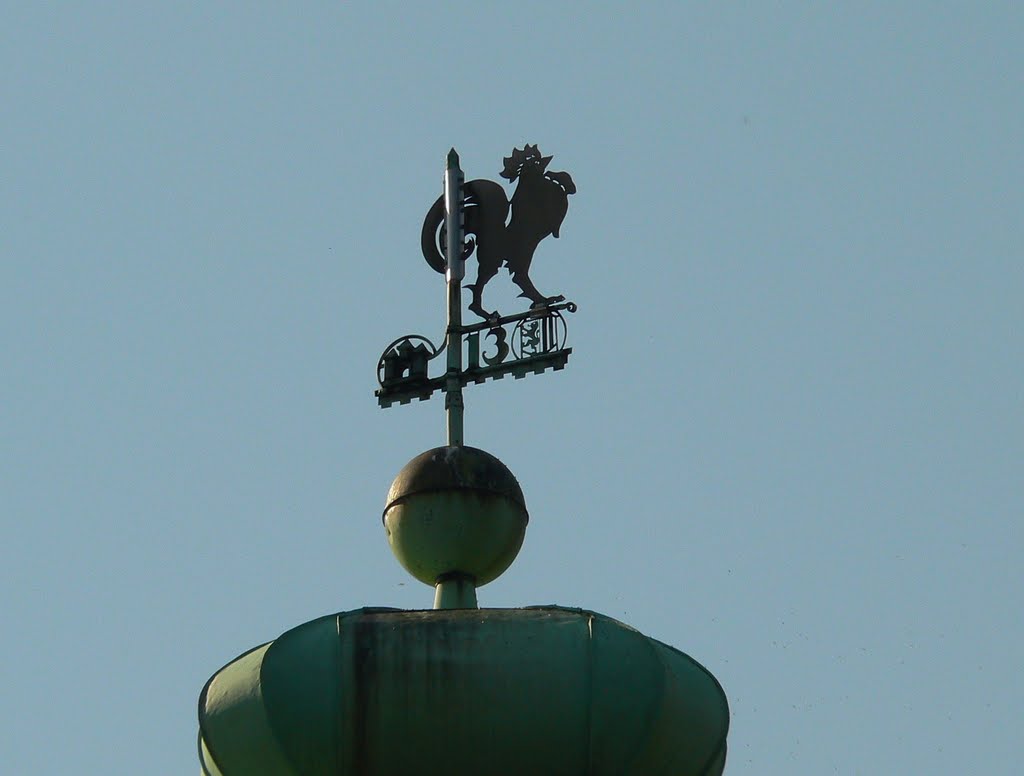 Marienberg OT Reitzenhain - Die Wetterfahne auf dem ehem. Rathaus von 1924 by Thomas Eichler