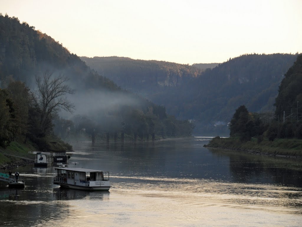 Nebel zieht auf im Elbtal by kampfmops 1976