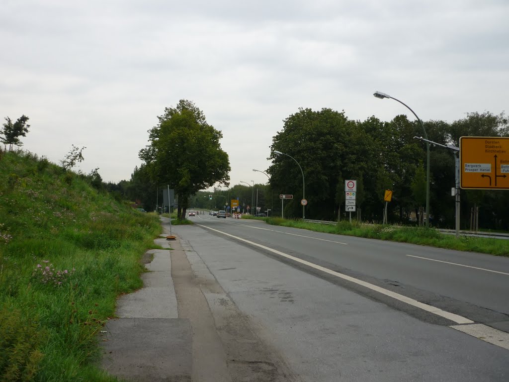 Oberhausener Str. (Bottrop-Fuhlenbrock) / 30.08.2011 by Iceman93 / NO VIEWS!!!