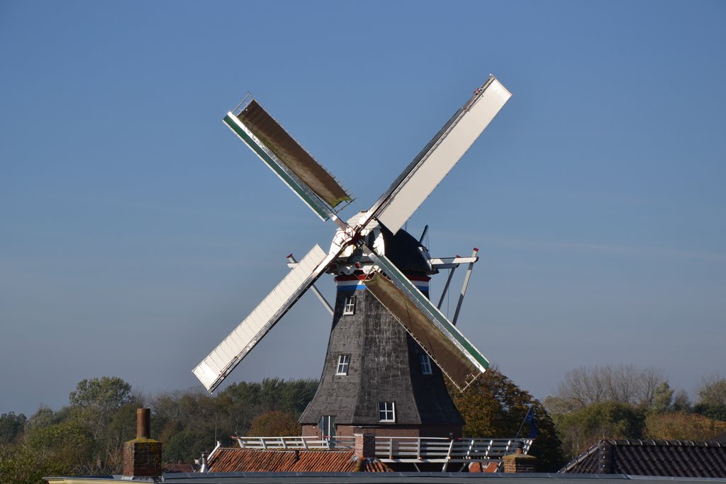 Koren-pelmolen De Ster by molenfotograaf (mill photographer)