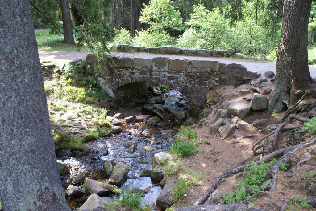 Bärenbrücke (Harz) by Atheistin