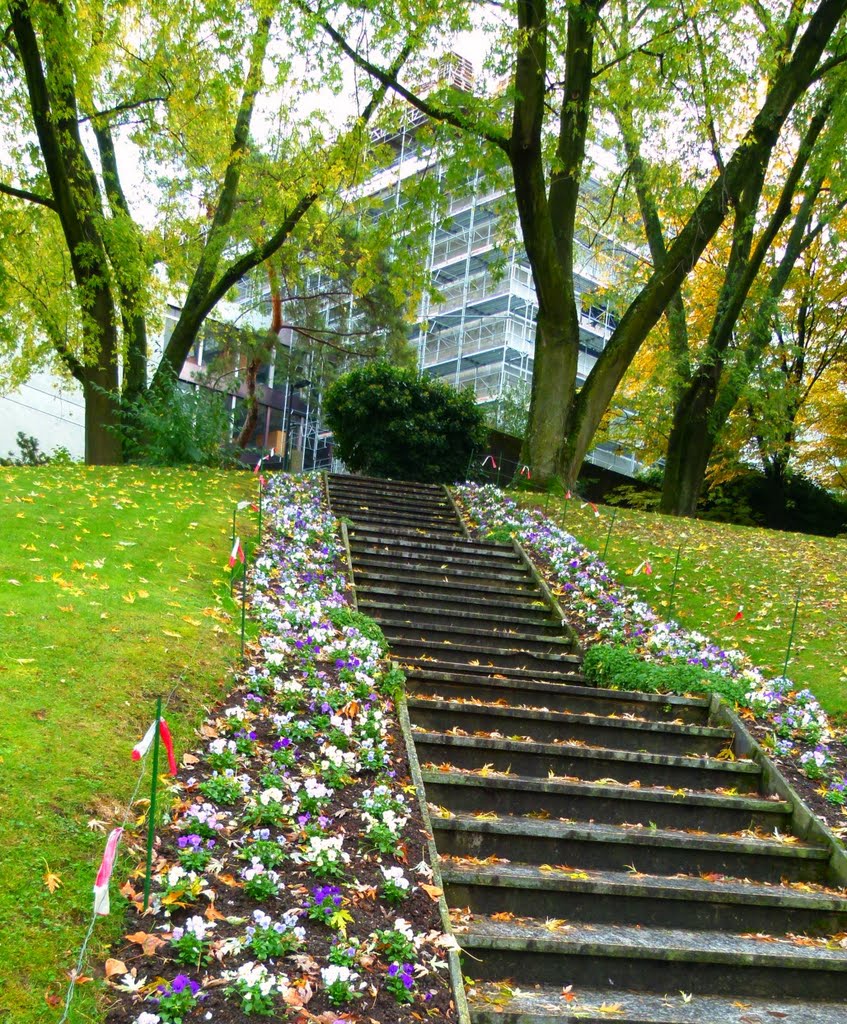 Feu l'escalier fleuri au Muséum ! by Magda GHALI