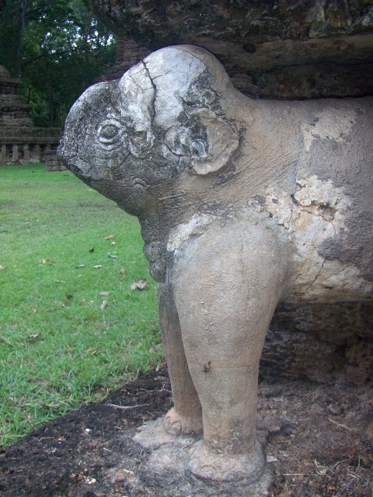 Sukhothai - สุโขทัย - Wat Chang Stone Elephant - ช้างหิน - Si Satchanalai Historical Park - อุทยานประวัติศาสตร์ศรีสัชนาลัย - Thailand by T F Rhoden