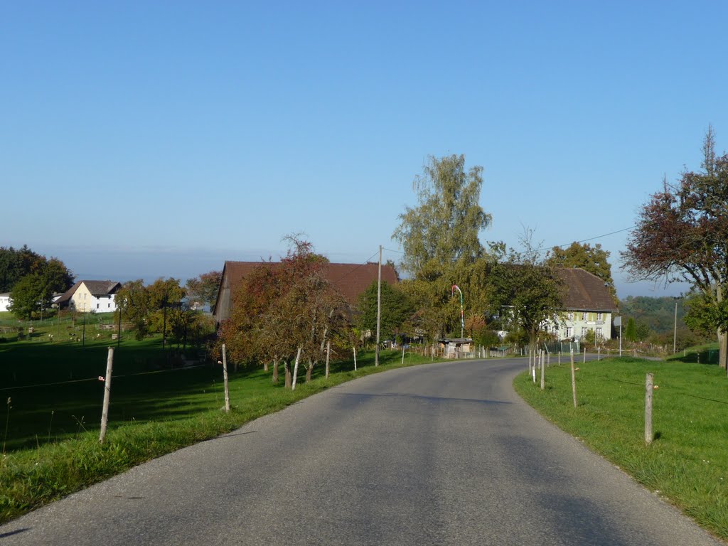 Blick auf Hinterniessenberg by bienenritter