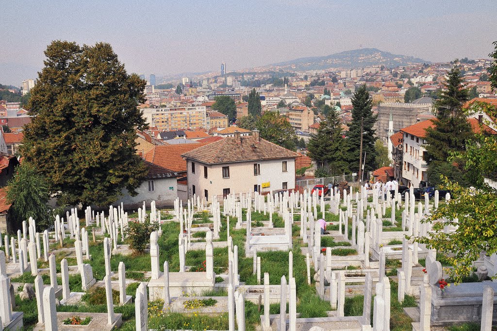 DER HAUPTFRIEDHOF VON SARAJEVO (Alifakovac) by RIDI GRAZ