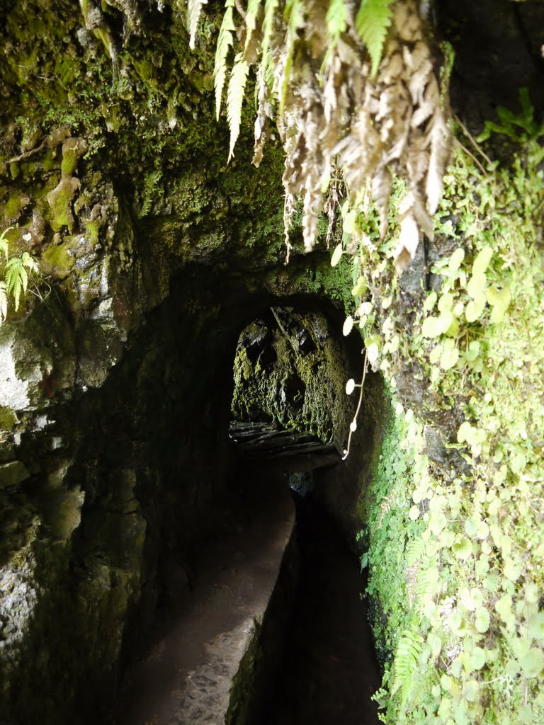 Ein kurzer Tunnel by K.Herr