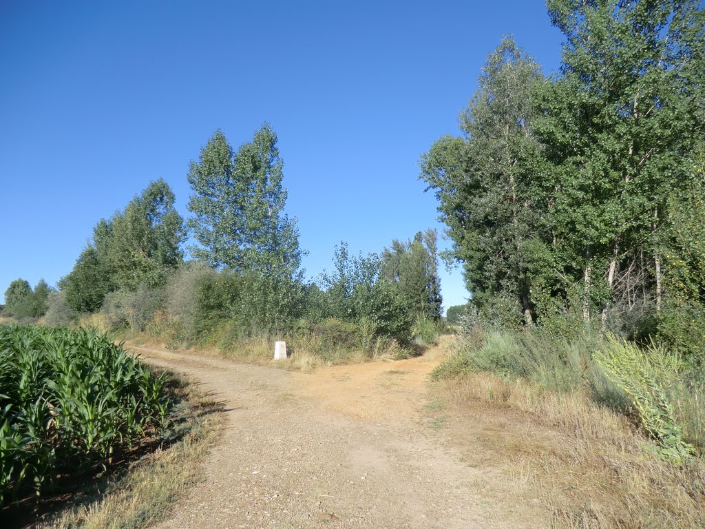 Melgar de Tera, 49626, Zamora, Spain by Pedro Maza Gómez