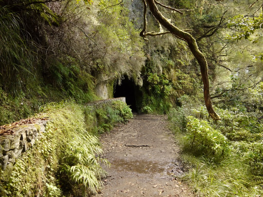 Noch ein Tunnel. by K.Herr