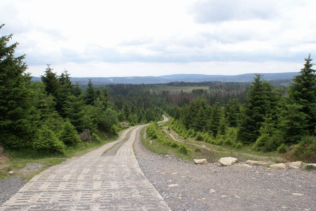 Kolonnenweg (Harz) by Atheistin