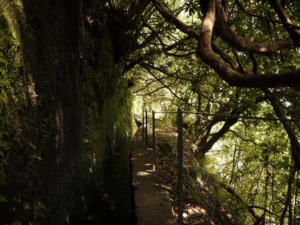 Madeira, Portugal by K.Herr