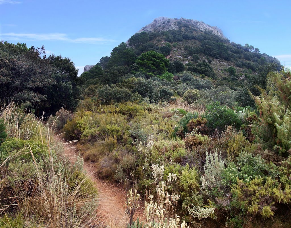 Vista del pico de la cruz de Juanar by juaniker