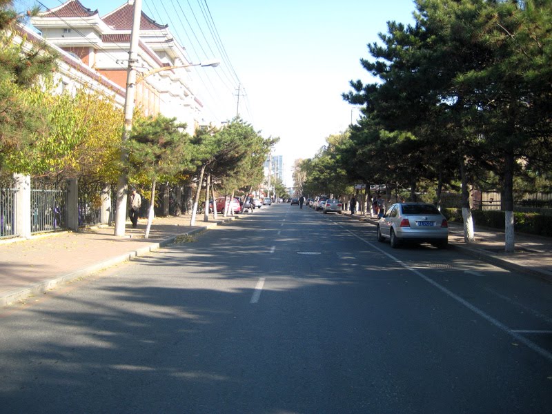 清华路 Qinghua Rd. by wanghongtao999