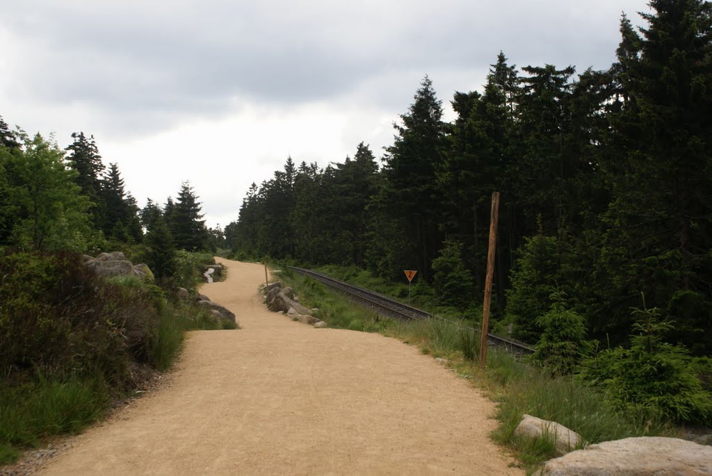 Auf dem Weg zum Brockengipfel (Harz) by Atheistin