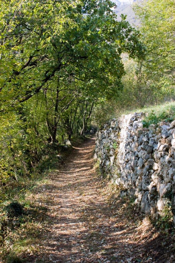 36010 Cogollo del Cengio, Province of Vicenza, Italy by Daniele Bonaldo