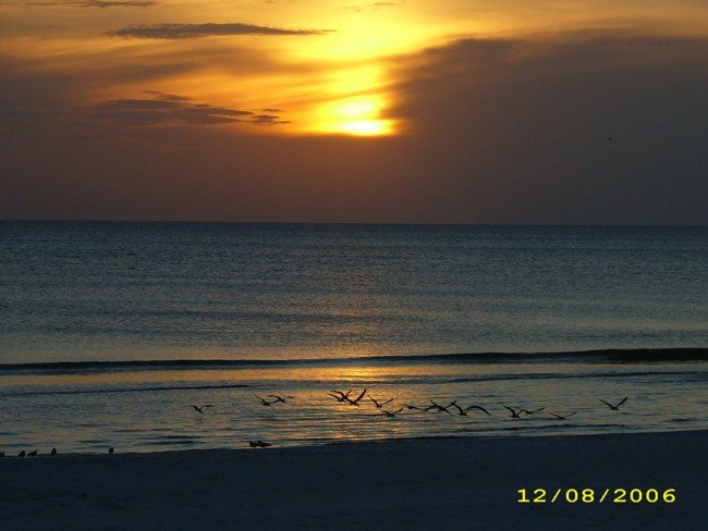 Sunset With Birds Fort Myers Beach, Fl by talc4