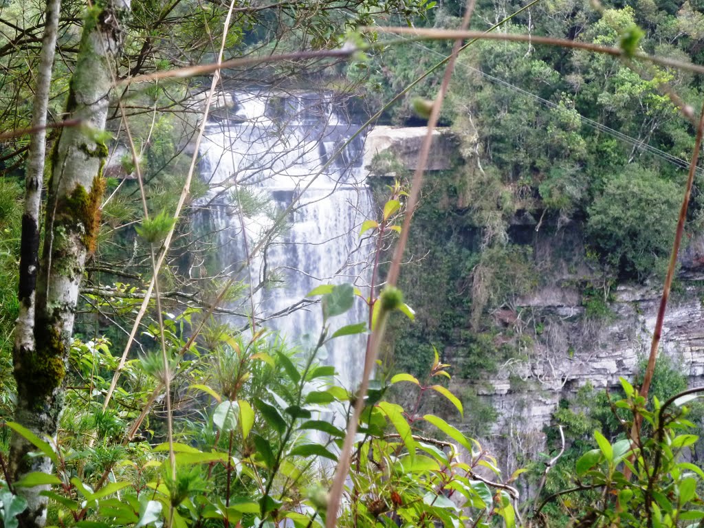 CACHOEIRA SALTO DO ZINCO - BENEDITO NOVO by Hugo Rosin Sobrinho