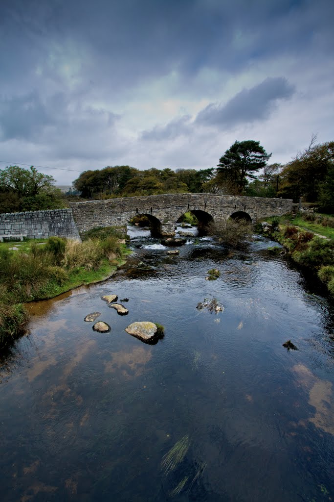 Dartmoor Forest, UK by Shaun Kiernan