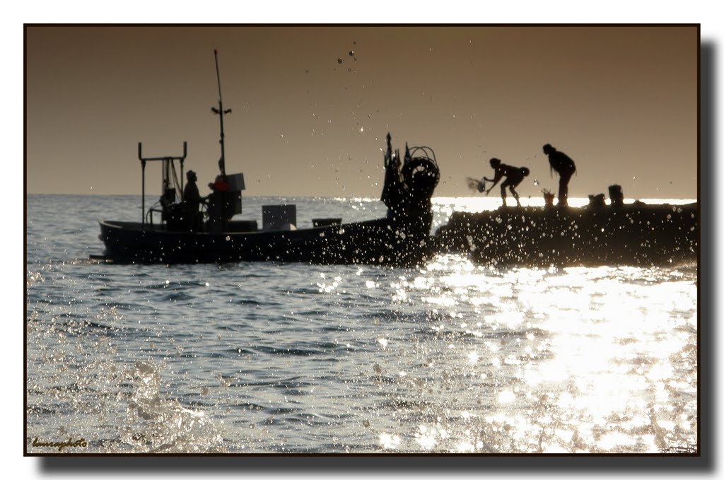 Passaggio di pescato by © Laura - Mycol