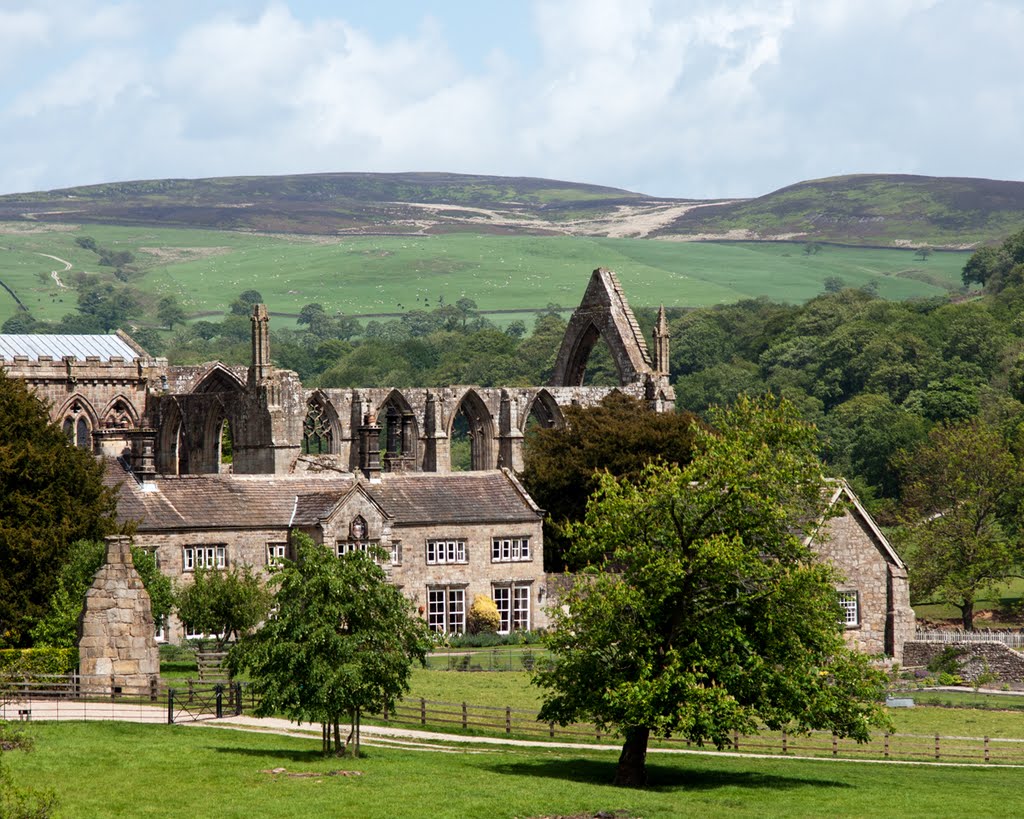 Bolton Abbey by Trevor Thornton