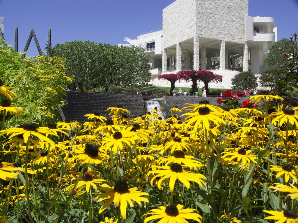 From the garden, at the Getty by José Luis Pérez De C