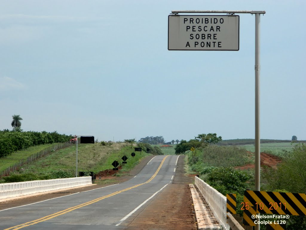 Ponte Do Rio Jacaré-Guaçu em Ibitinga by Nelson E. C. Frata