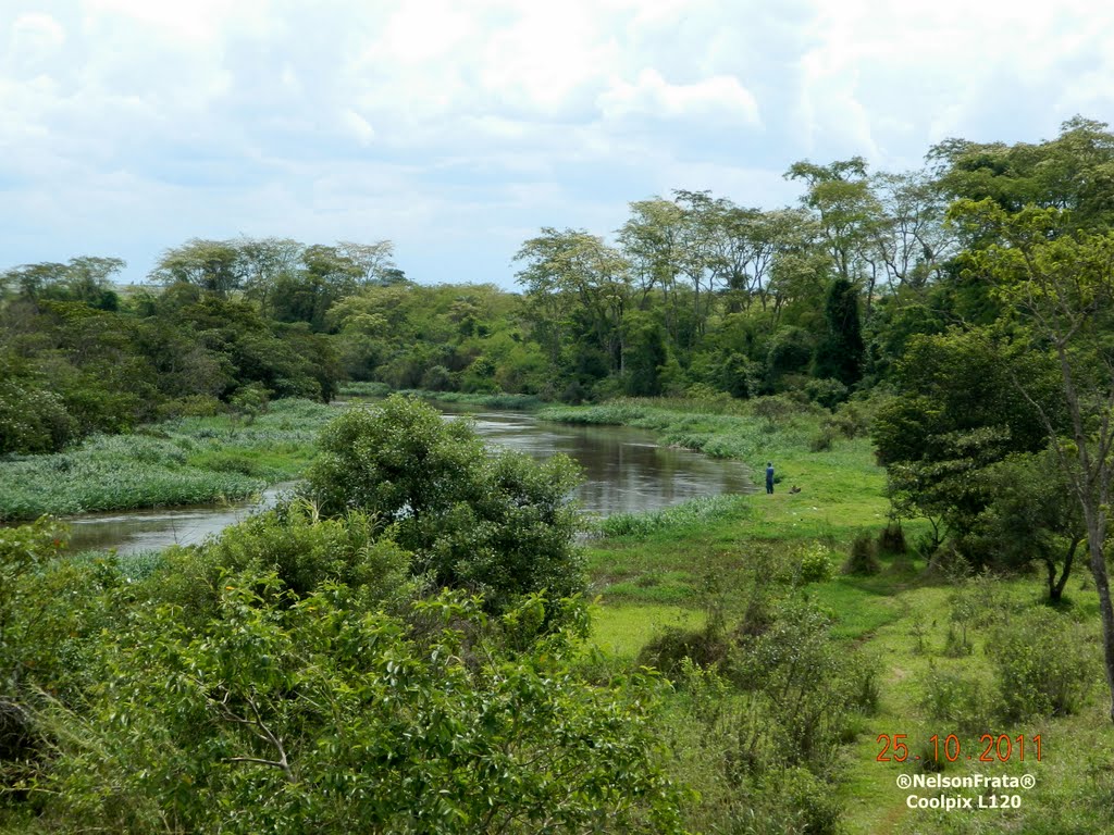 Rio Jacaré-Guaçu by Nelson E. C. Frata