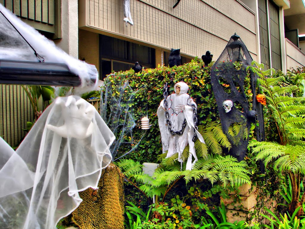 Halloween in West LA, Los Angeles, CA by alek solo