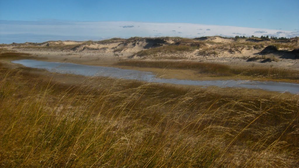 Pond in the Dunes by Globe Spinner