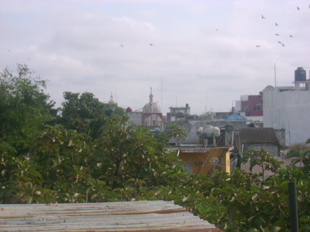 Vista desde la azotea by Edson Otilio Guzmán Hernández