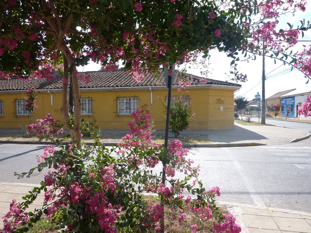 Calle Cienfuegos el San Javier de Loncomilla by georgina guichaquelen