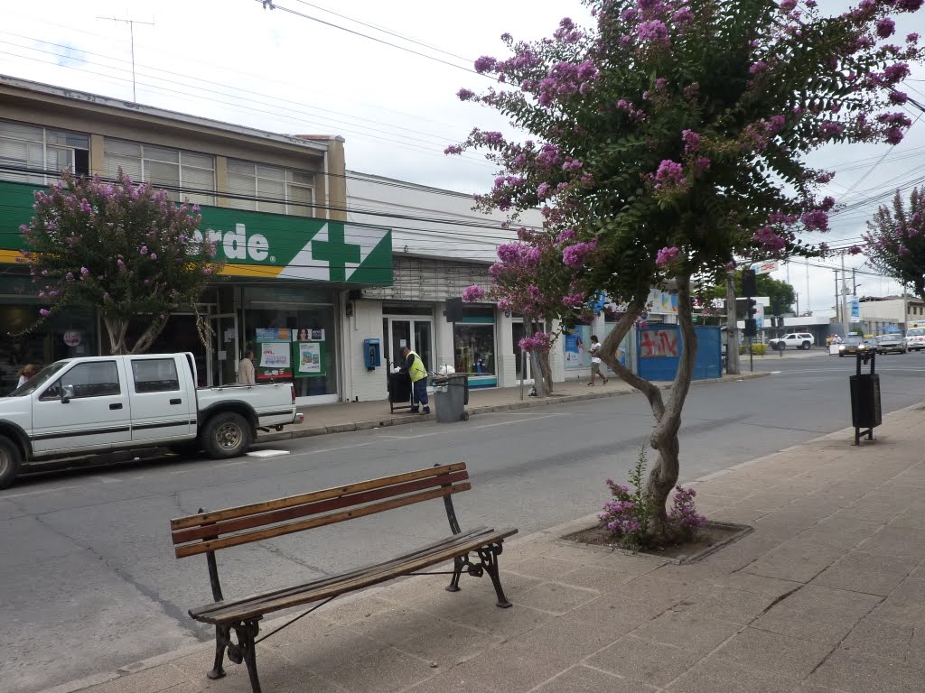 Calle 2 de San Javier de Loncomilla by georgina guichaquelen