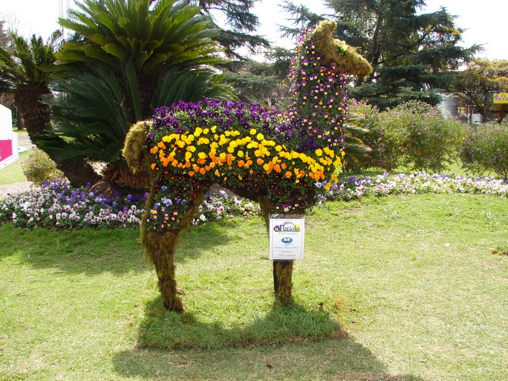 Guanaco de flores by Oscar Fernández C