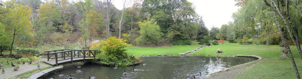 Panoramic View of a Duck Pond & James Gardens, Toronto by JLourenco