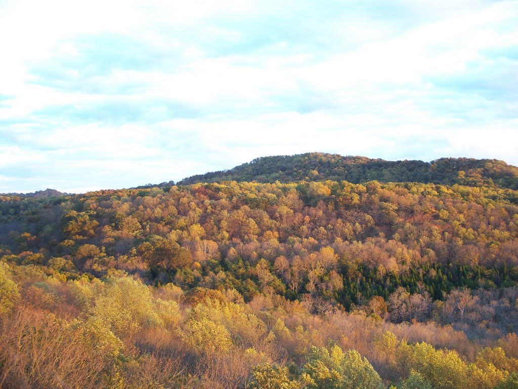 View from Buzzard's Roost Rock by Michael Gossett