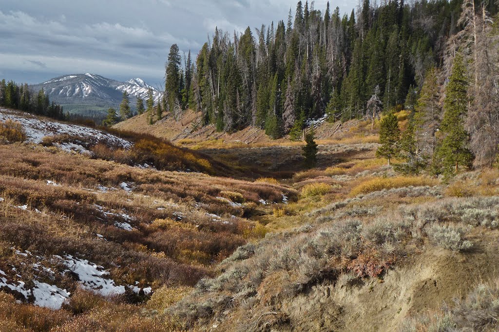 From near the top of Flagstaff Creek down. Mid-October snow patches by Ralph Maughan